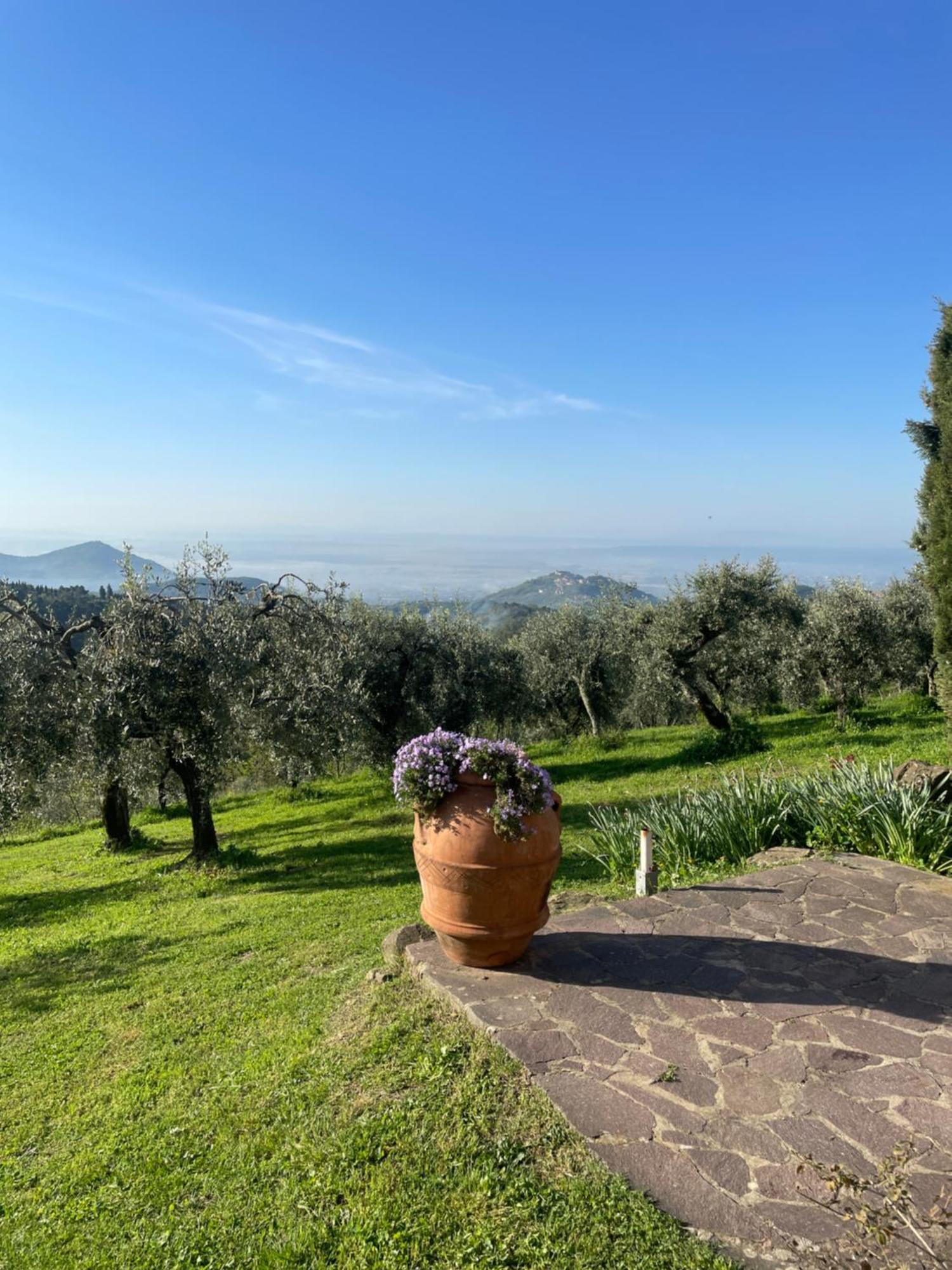 Podere Il Poggio Avaglio Exteriér fotografie